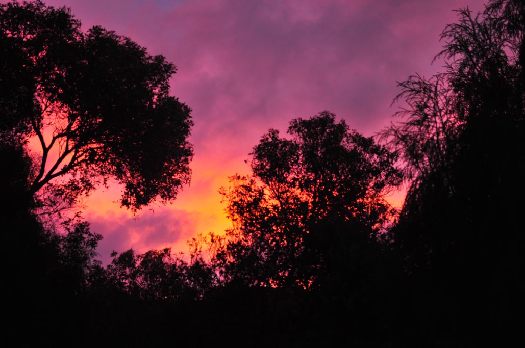 2012 Sunrise Twilight