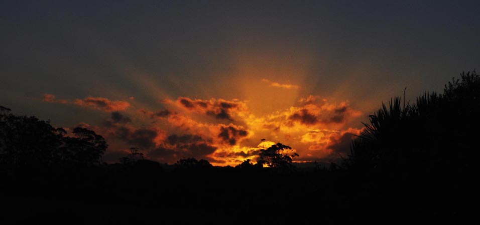 2012 Sunset Of Olds